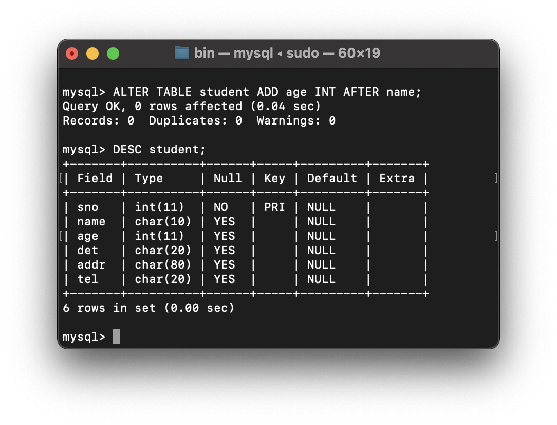 mysql image