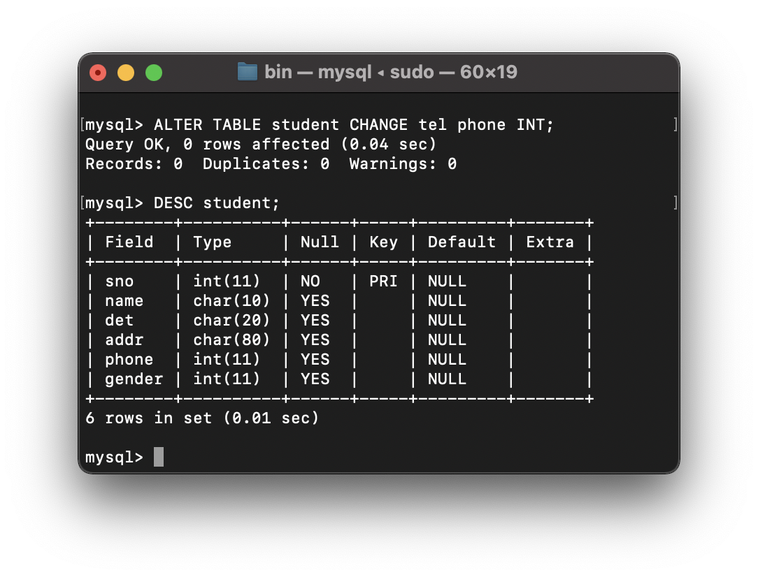 mysql image