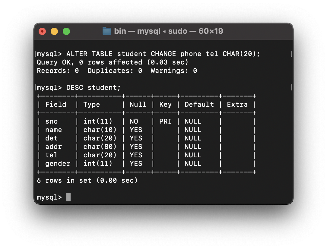 mysql image