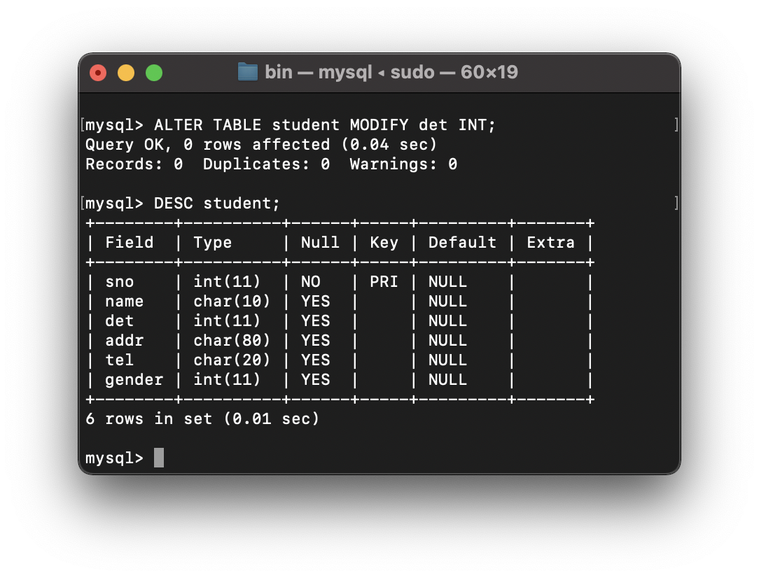 mysql image