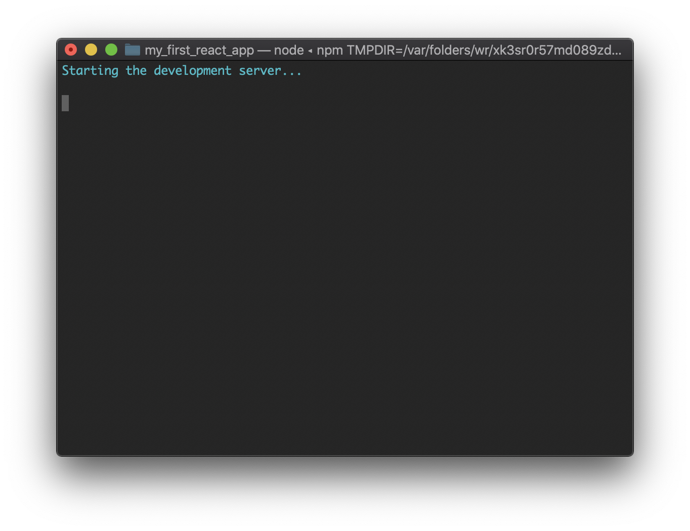 start ReactJS terminal