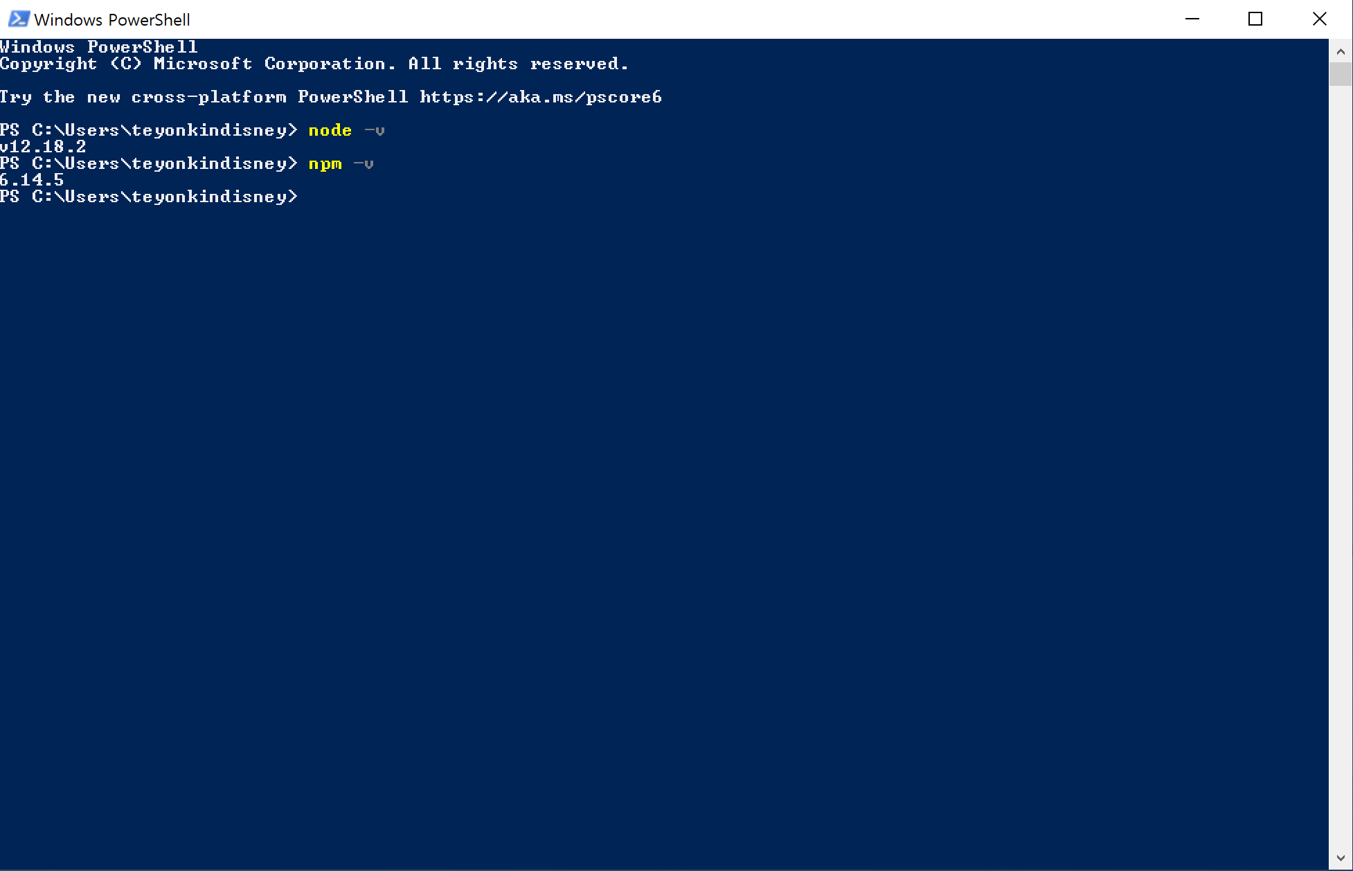 win power shell npm-v